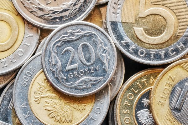 Performance of CEE Currencies in 2019 And What to Expect Next